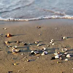 In 54671 Appartamento Bibione